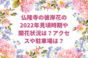 仏隆寺の彼岸花の2022年見頃時期や開花状況は?アクセスや駐車場は?