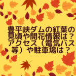 豊平峡ダムの紅葉の2022年見頃や開花情報は？アクセス（電気バス等）や駐車場は？