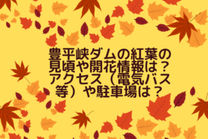 豊平峡ダムの紅葉の2022年見頃や開花情報は？アクセス（電気バス等）や駐車場は？