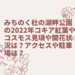 みちのく杜の湖畔公園の2022年コキア紅葉やコスモス見頃や開花状況は？アクセスや駐車場は？