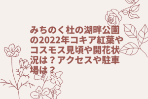 みちのく杜の湖畔公園の2022年コキア紅葉やコスモス見頃や開花状況は？アクセスや駐車場は？