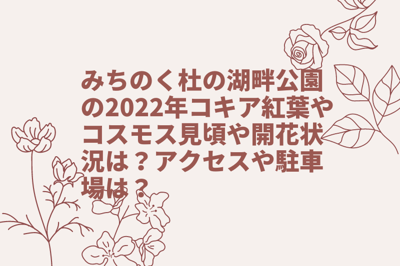 みちのく杜の湖畔公園の2022年コキア紅葉やコスモス見頃や開花状況は?アクセスや駐車場は?