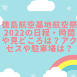 徳島航空基地航空祭2022の日程・時間や見どころは？アクセスや駐車場は？