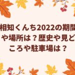 相知くんち2022の期間や場所は？歴史や見どころや駐車場は？