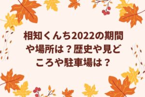 相知くんち2022の期間や場所は？歴史や見どころや駐車場は？
