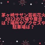 茅ヶ崎サザン芸術花火2022の穴場や屋台は？場所やアクセスや駐車場は？