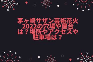茅ヶ崎サザン芸術花火2022の穴場や屋台は？場所やアクセスや駐車場は？