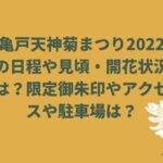 亀戸天神菊まつり2022年日程や見頃・開花状況は？限定御朱印やアクセスや駐車場は？