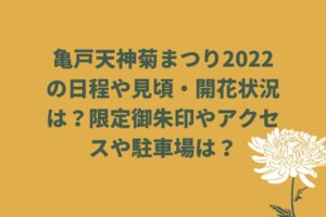 亀戸天神菊まつり2022年日程や見頃・開花状況は？限定御朱印やアクセスや駐車場は？