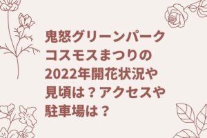 鬼怒グリーンパークコスモスまつりの2022年開花状況や見頃は？アクセスや駐車場は？