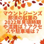 マウントジーンズ那須の紅葉の2022年見頃時期や混雑は？アクセスや駐車場は？