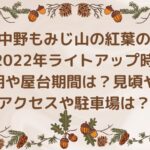 中野もみじ山の紅葉の2022年ライトアップ時期や屋台期間は？見頃やアクセスや駐車場は？