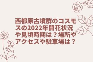 西都原古墳群のコスモスの2022年開花状況や見頃時期は？場所やアクセスや駐車場は？