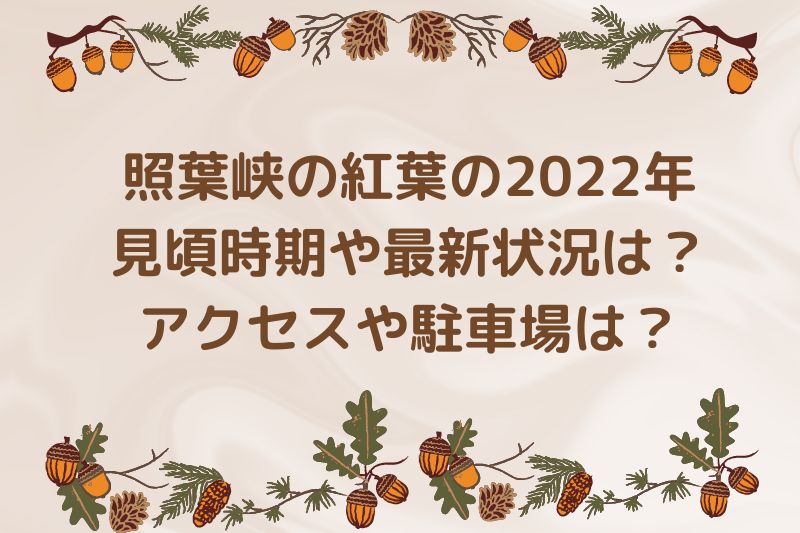 照葉峡の紅葉の2022年見頃時期や最新状況は？アクセスや駐車場は？