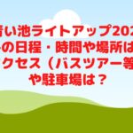 青い池ライトアップ2022冬の日程・時間や場所は？アクセス（バスツアー等）や駐車場は？
