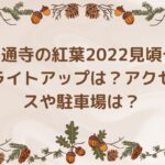 佛通寺の紅葉2022見頃やライトアップは？アクセスや駐車場は？