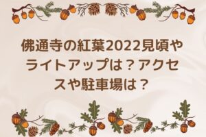 佛通寺の紅葉2022見頃やライトアップは？アクセスや駐車場は？