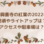 大興善寺の紅葉の2022年見頃やライトアップは？アクセスや駐車場は？