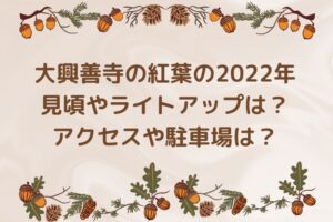 大興善寺の紅葉の2022年見頃やライトアップは？アクセスや駐車場は？