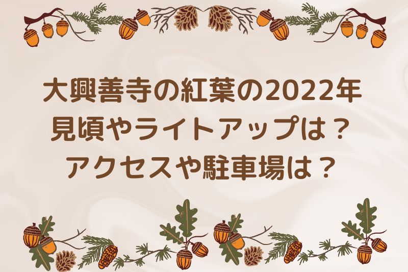 大興善寺の紅葉の2022年見頃やライトアップは？アクセスや駐車場は？