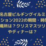 大名古屋ビルヂングイルミネーション2022の期間・時間や場所は？クリスマスツリーやディナーは？