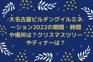 大名古屋ビルヂングイルミネーション2022の期間・時間や場所は？クリスマスツリーやディナーは？