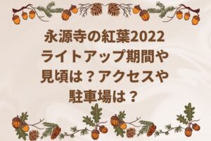 永源寺の紅葉2022ライトアップの期間や見頃は？アクセスや駐車場は？