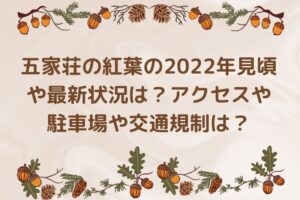 五家荘の紅葉の2022年見頃や最新状況は？アクセスや駐車場や交通規制は？