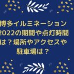 博多イルミネーション2022の期間や点灯時間は？場所やアクセスや駐車場は？