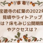 宝徳寺の紅葉の2022年見頃やライトアップは？床もみじ公開期間やアクセスは？