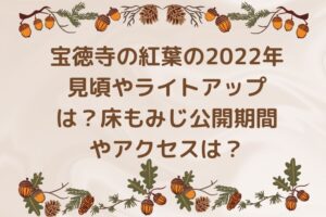 宝徳寺の紅葉の2022年見頃やライトアップは？床もみじ公開期間やアクセスは？