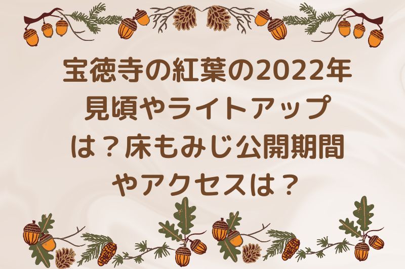 宝徳寺の紅葉の2022年見頃やライトアップは?床もみじ公開期間やアクセスは?