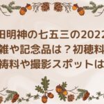神田明神の七五三の2022年混雑や記念品は？初穂料や祈祷料や撮影スポットは？