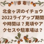 北金ヶ沢のイチョウ2022ライトアップ期間や時間は？見頃やアクセスや駐車場は？