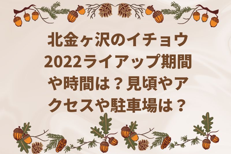 北金ヶ沢のイチョウ2022ライトアップ期間や時間は？見頃やアクセスや駐車場は？
