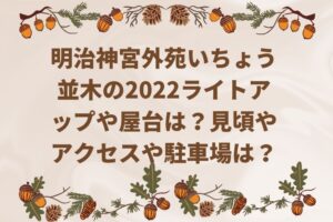 明治神宮外苑いちょう並木の2022ライトアップや屋台は？見頃やアクセスや駐車場は？