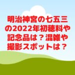 明治神宮の七五三の2022年初穂料や記念品は？混雑や撮影スポットは？