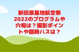 新田原基地航空祭2022のプログラムや穴場は？撮影ポイントや臨時バスは？
