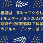 相模湖すみっコぐらしイルミネーション2022の期間や点灯時間は？料金やグルメ・ディナーは？