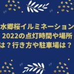 水郷桜イルミネーション2022の点灯時間や場所は？行き方や駐車場は？　