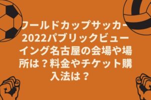 ワールドカップサッカー2022パブリックビューイング名古屋の会場や場所は？料金やチケット購入法は？　