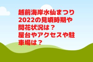 越前海岸水仙まつり2022の見頃時期や開花状況は？屋台やアクセスや駐車場は？