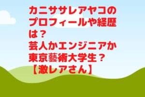 カニササレアヤコのプロフィールや経歴は？芸人かエンジニアか東京藝術大学生？【激レアさん】