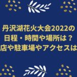 丹沢湖花火大会2022の日程・時間や場所は？露店や駐車場やアクセスは？