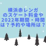 横浜赤レンガのスケート料金や2022年期間・時間は？予約や場所は？