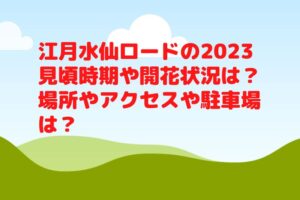 江月水仙ロードの2023見頃時期や開花状況は？場所やアクセスや駐車場は？