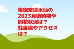 権現堂堤水仙の2023見頃時期や開花状況は？駐車場やアクセスは？