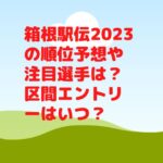 箱根駅伝2023の順位予想や注目選手は？区間エントリーはいつ？