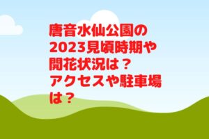 唐音水仙公園の2023見頃時期や開花状況は？アクセスや駐車場は？