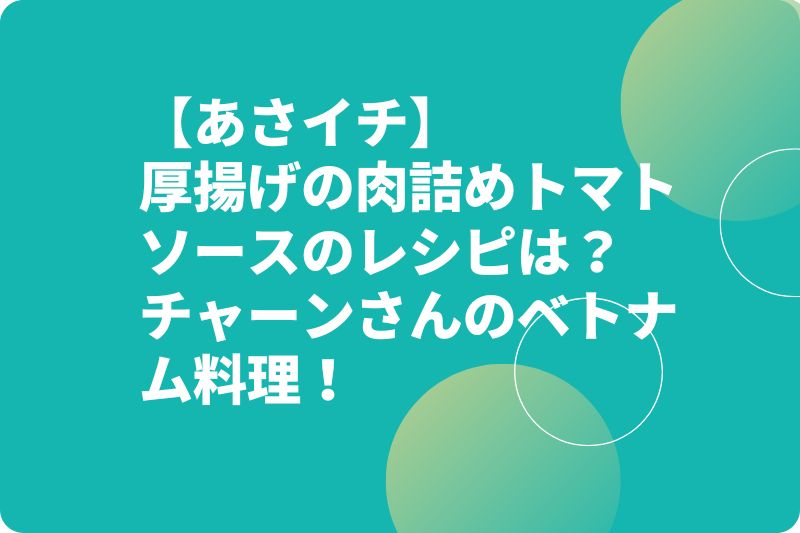 【あさイチ】厚揚げの肉詰めトマトソースのレシピは？チャーンさんのベトナム料理！